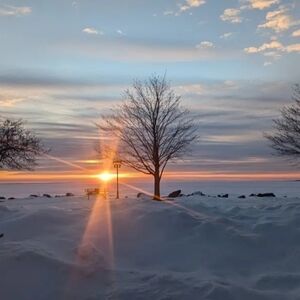 Meet your Poshers, Los Carmenatty